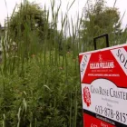 Entreprises 3 image GINAROSE CRISTELLO - SOLID ROCK REALTY Real Estate Agents dans Nepean ON