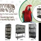 Entreprises 5 image GLITTER PET SUPPLIES Shopping dans Mississauga ON