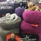Entreprises 6 image GLOBAL PET FOODS Shopping dans Kingston ON