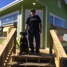 Business 6 image GOOD2GROWNL Shopping in Conception Bay South NL