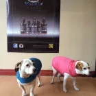 Business 3 image GR8 VAPE Tobacconists in New Westminster BC