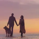 Entreprises 1 image GRACE FERTILITY CENTRE Fertility Clinics & Physicians dans Vancouver BC