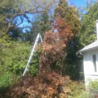 Business 10 image GREATER VICTORIA SERVICES Industries & Agriculture in Victoria BC