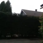 Business 13 image GREATER VICTORIA SERVICES Industries & Agriculture in Victoria BC