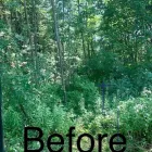Business 5 image GREEN ACRES FORESTRY AND LANDSCAPING Real Estate & Home Improvement in Belleville ON