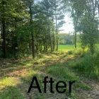 Business 6 image GREEN ACRES FORESTRY AND LANDSCAPING Real Estate & Home Improvement in Belleville ON