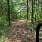Business 7 image GREEN ACRES FORESTRY AND LANDSCAPING Real Estate & Home Improvement in Belleville ON
