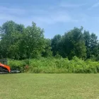 Business 1 image GREEN ACRES FORESTRY AND LANDSCAPING Real Estate & Home Improvement in Belleville ON