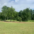 Business 2 image GREEN ACRES FORESTRY AND LANDSCAPING Real Estate & Home Improvement in Belleville ON