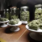 Entreprises 2 image GREEN BUDDHA MEDICINALS dans Victoria BC