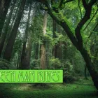 Entreprises 3 image GREEN MAN BIKES Sports & Recreation dans Victoria BC