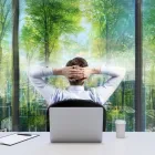 Business 1 image GREEN PURE AIR Mold Testing & Removal in Vancouver BC