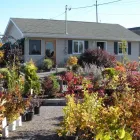 Business 2 image GREEN THUMB GARDEN CENTRE Shopping in Nepean ON