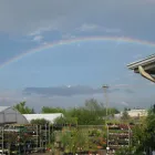 Business 6 image GREEN THUMB GARDEN CENTRE Shopping in Nepean ON