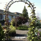 Business 8 image GREEN THUMB GARDEN CENTRE Shopping in Nepean ON