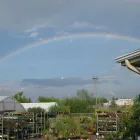 Business 13 image GREEN THUMB GARDEN CENTRE Shopping in Nepean ON