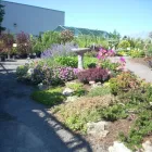 Business 14 image GREEN THUMB GARDEN CENTRE Shopping in Nepean ON