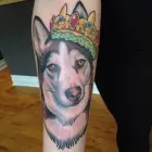 Entreprises 6 image GREY HARBOUR TATTOO Tattoos & Body Piercing dans Hamilton ON