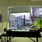 Business 9 image GROW CRAZY Shopping in St. John’s NL