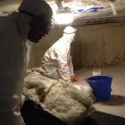 Entreprises 3 image GTA MOLD REMOVAL MISSISSAUGA Mold Testing & Removal dans Mississauga ON