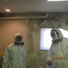Entreprises 4 image GTA MOLD REMOVAL MISSISSAUGA Mold Testing & Removal dans Mississauga ON