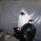 Entreprises 6 image GTA MOLD REMOVAL MISSISSAUGA Mold Testing & Removal dans Mississauga ON