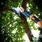 Business 2 image GUARDIAN TREE SERVICES LTD Tree Service/surgeons in Winnipeg South MB