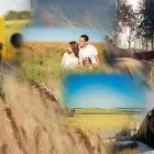 Entreprises 1 image GUILD INSURANCE BROKERS Legal & Financial Services dans Brandon MB
