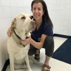 Business 1 image GUILDWOOD VILLAGE ANIMAL CLINIC Veterinarians in Scarborough ON