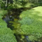 Business 7 image GULLIVER'S LAKE RV RESORT & CAMPGROUND Vacation Home Rentals in Hamilton ON