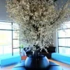 Entreprises 10 image HALTON HEARING CENTRE Health & Medicine dans Oakville ON