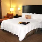 Business 44 image HAMPTON INN & SUITES BY HILTON LAVAL travel & tourism in Laval QC