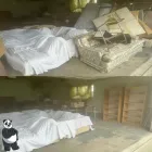 Business 3 image HAPPY PANDA JUNK REMOVAL / CALGARY Garbage Clearance & Collection in Calgary AB