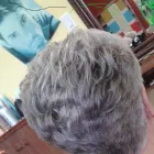 Entreprises 3 image HAUTE COIFFURE UNISEXE SARA BERNARDI Hair Salons dans Montréal QC