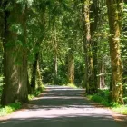 Business 6 image HEARTWOOD TREE CONSULTING Tree Work & Forestry Services in West Vancouver BC