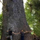 Business 11 image HEARTWOOD TREE CONSULTING Tree Work & Forestry Services in West Vancouver BC