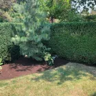 Business 2 image HEDGE TRIMMING VANCOUVER Landscaping & Gardening Services in Vancouver BC