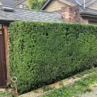Business 3 image HEDGE TRIMMING VANCOUVER Landscaping & Gardening Services in Vancouver BC