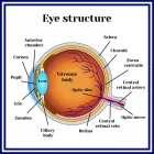 Entreprises 13 image HERITAGE OPTOMETRY Ophthalmologists, Optometrists & Opticians dans Markham ON