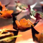 Business 63 image HILTON SAINT JOHN travel & tourism in Saint John NB