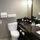 Business 27 image HOLIDAY INN CALGARY-AIRPORT Wedding Venues in Calgary AB