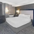 Business 29 image HOLIDAY INN EXPRESS & SUITES CALGARY Wedding Venues in Calgary AB