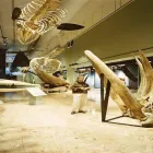 Entreprises 15 image HOLIDAY INN EXPRESS & SUITES SAINT JOHN HARBOUR SIDE Wedding Venues dans St. John NB