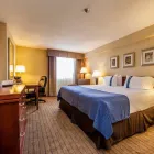 Business 27 image HOLIDAY INN LAVAL - MONTREAL Wedding Venues in Laval QC
