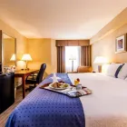 Business 31 image HOLIDAY INN LAVAL - MONTREAL Wedding Venues in Laval QC