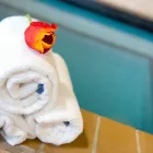 Entreprises 6 image HOLIDAY INN & SUITES MISSISSAUGA WEST - MEADOWVALE Wedding Venues dans Mississauga ON