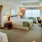 Entreprises 16 image HOLIDAY INN & SUITES OAKVILLE @ BRONTE Wedding Venues dans Oakville ON