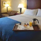 Business 45 image HOLIDAY INN & SUITES WINNIPEG-DOWNTOWN Wedding Venues in Winnipeg MB