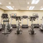 Business 4 image HOLIDAY INN TORONTO INTERNATIONAL AIRPORT Wedding Venues in Toronto ON