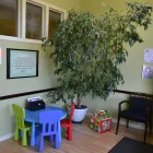 Entreprises 3 image HOLROYD FAMILY CHIROPRACTIC Health & Medicine dans West Kelowna BC